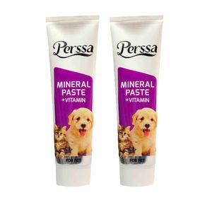 خمیر مینرال سگ و گربه پرسا مدل mineral وزن 100 گرم بسته 2 عددی